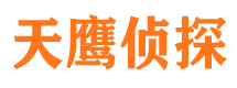 桐柏市调查公司